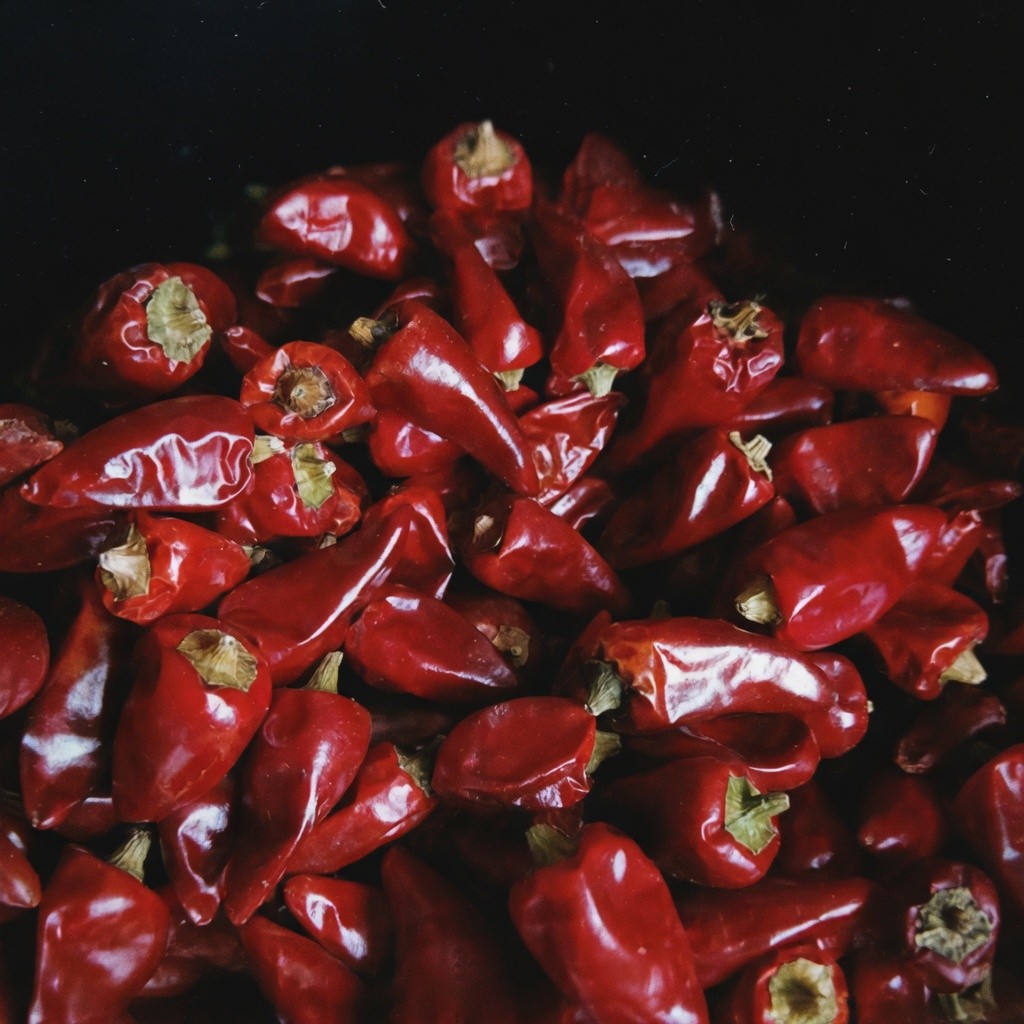 子彈頭辣椒乾 Dried Bullet Chili 批發 | 更有福
