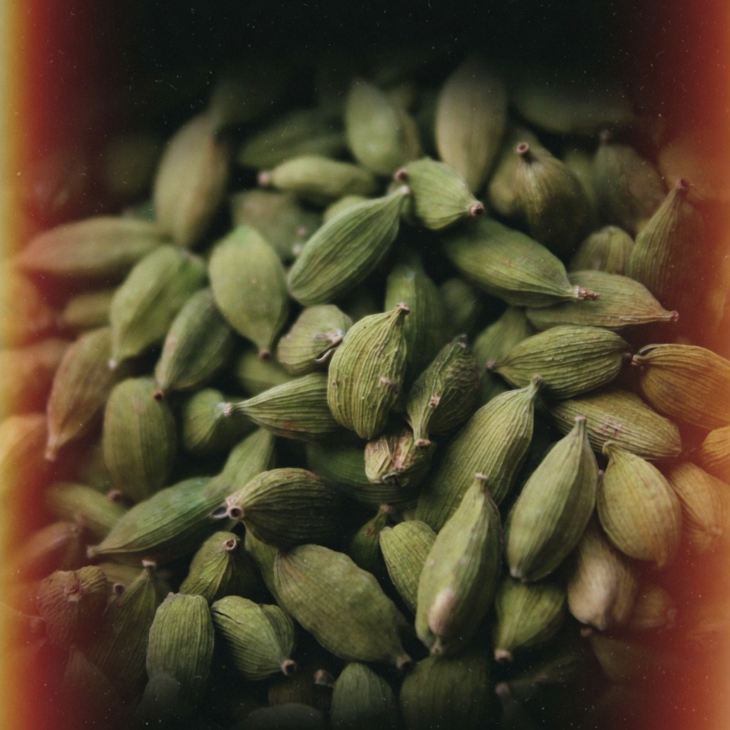 青豆蔻(小豆蔻) Green Cardamom 批發 | 更有福