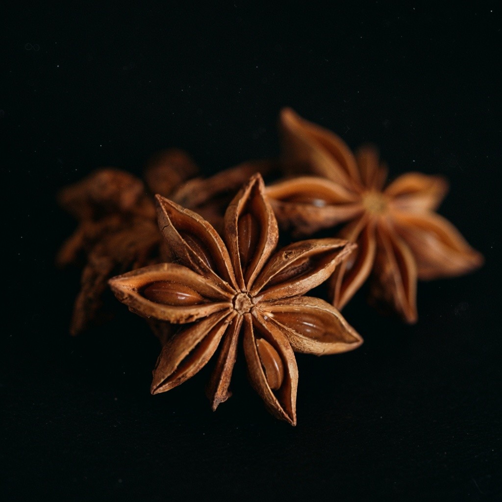 大茴香(八角) Star Anise 批發 | 更有福