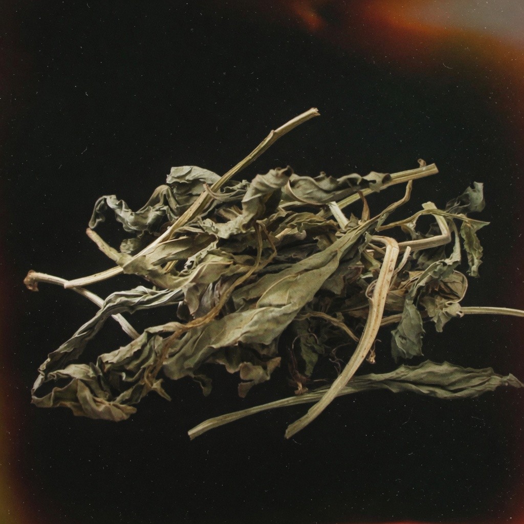 靈香(香草) Linxiang Herb 批發 | 更有福