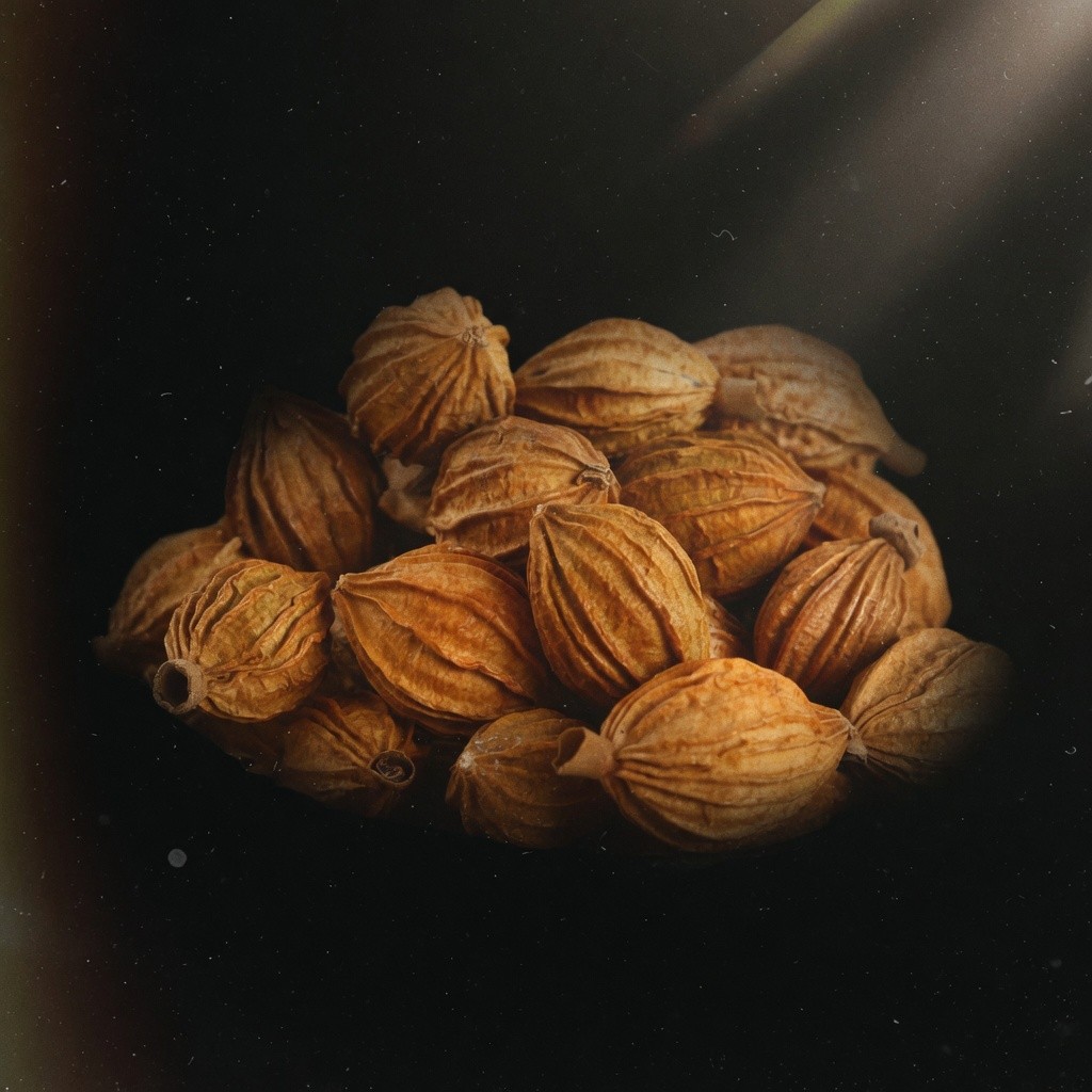 香砂 Amomum 批發 | 更有福