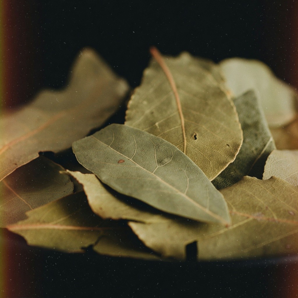 香葉(月桂葉) Bay Leaf 批發 | 更有福