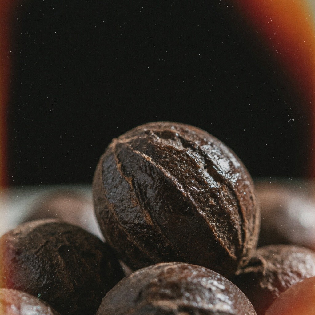 眾香子(多香果) Allspice 批發 | 更有福