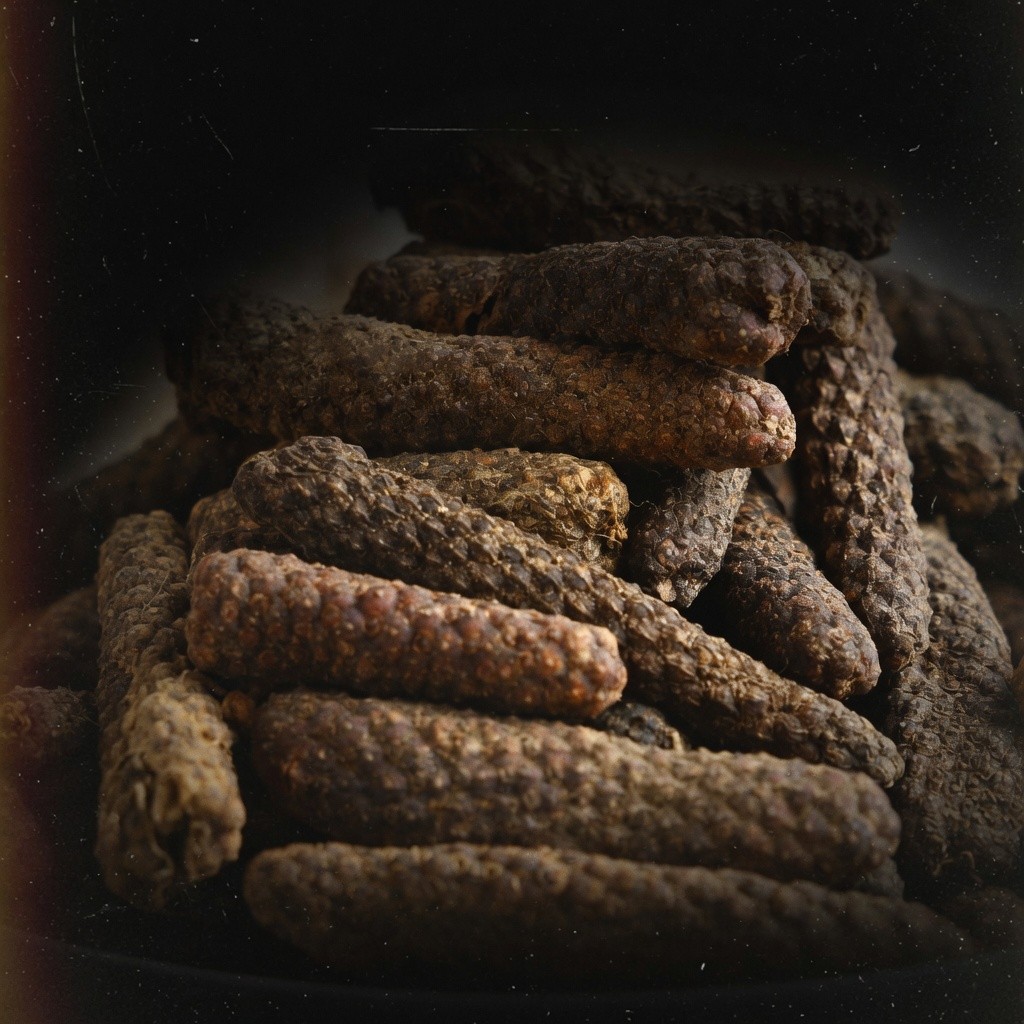 必撥(畢拔) Long Pepper (Piper Longum) 批發 | 更有福