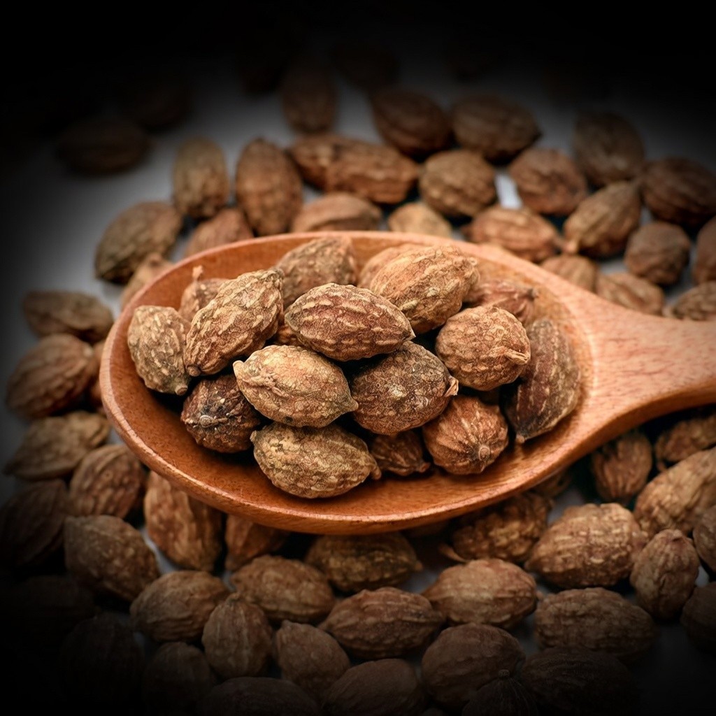 益智仁 Alpinia Oxyphylla 批發 | 更有福