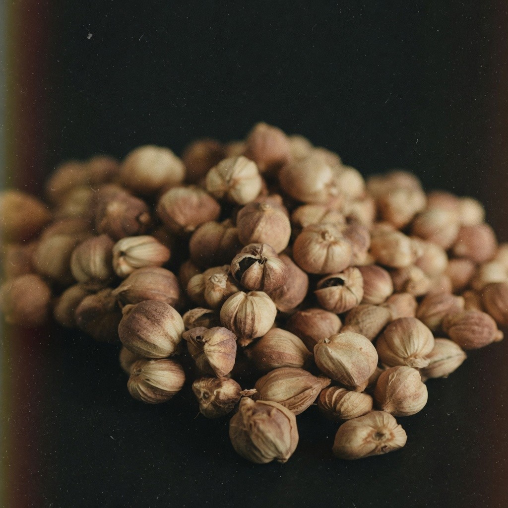 白豆蔻 White Cardamom 批發 | 更有福