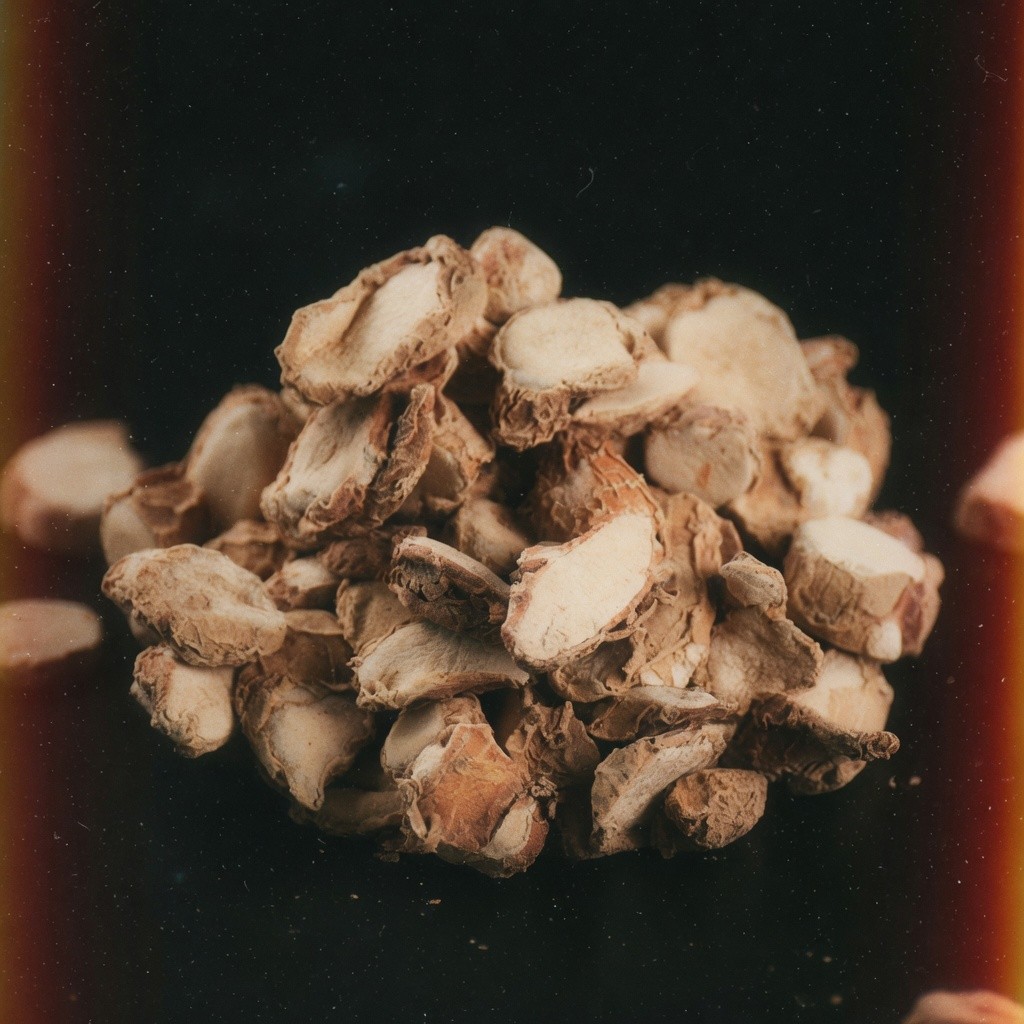 山奈(沙薑) Galangal (Sand Ginger) 批發 | 更有福