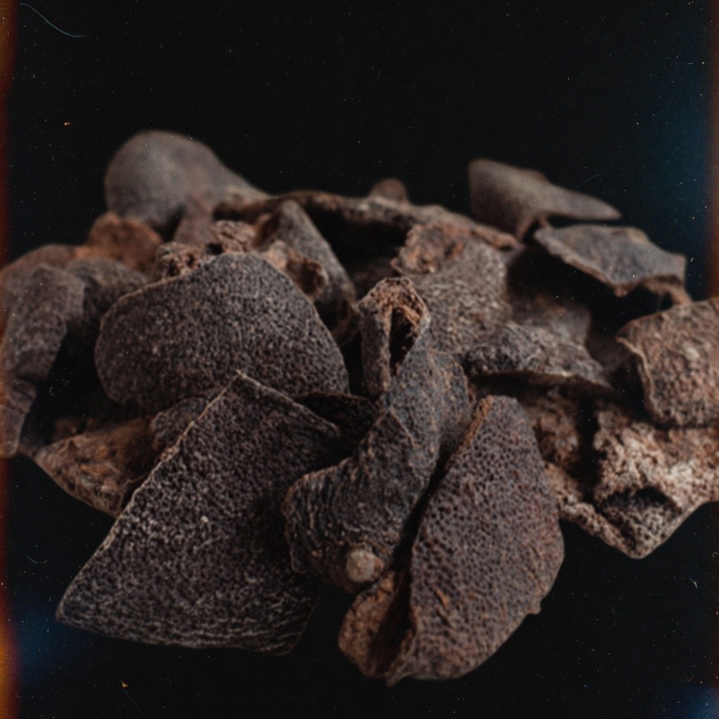 川貝陳皮 Chuanbei Tangerine Peel 批發 | 更有福