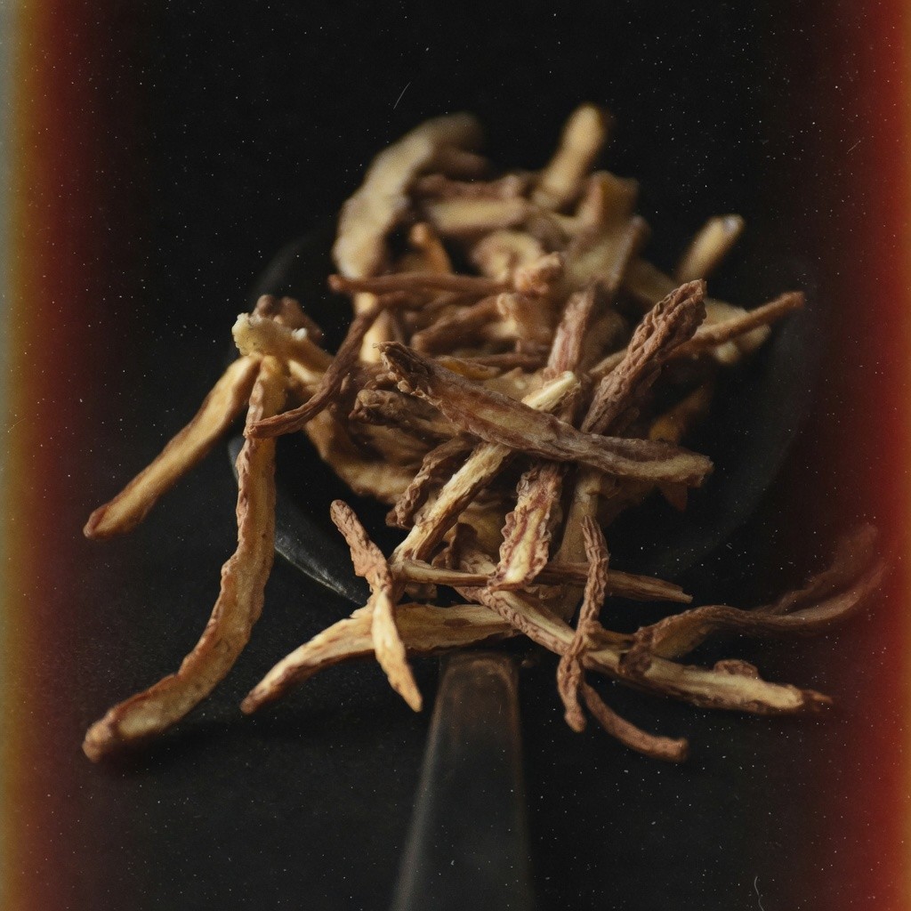 當歸尾片 Angelica Tail Slice 批發 | 更有福