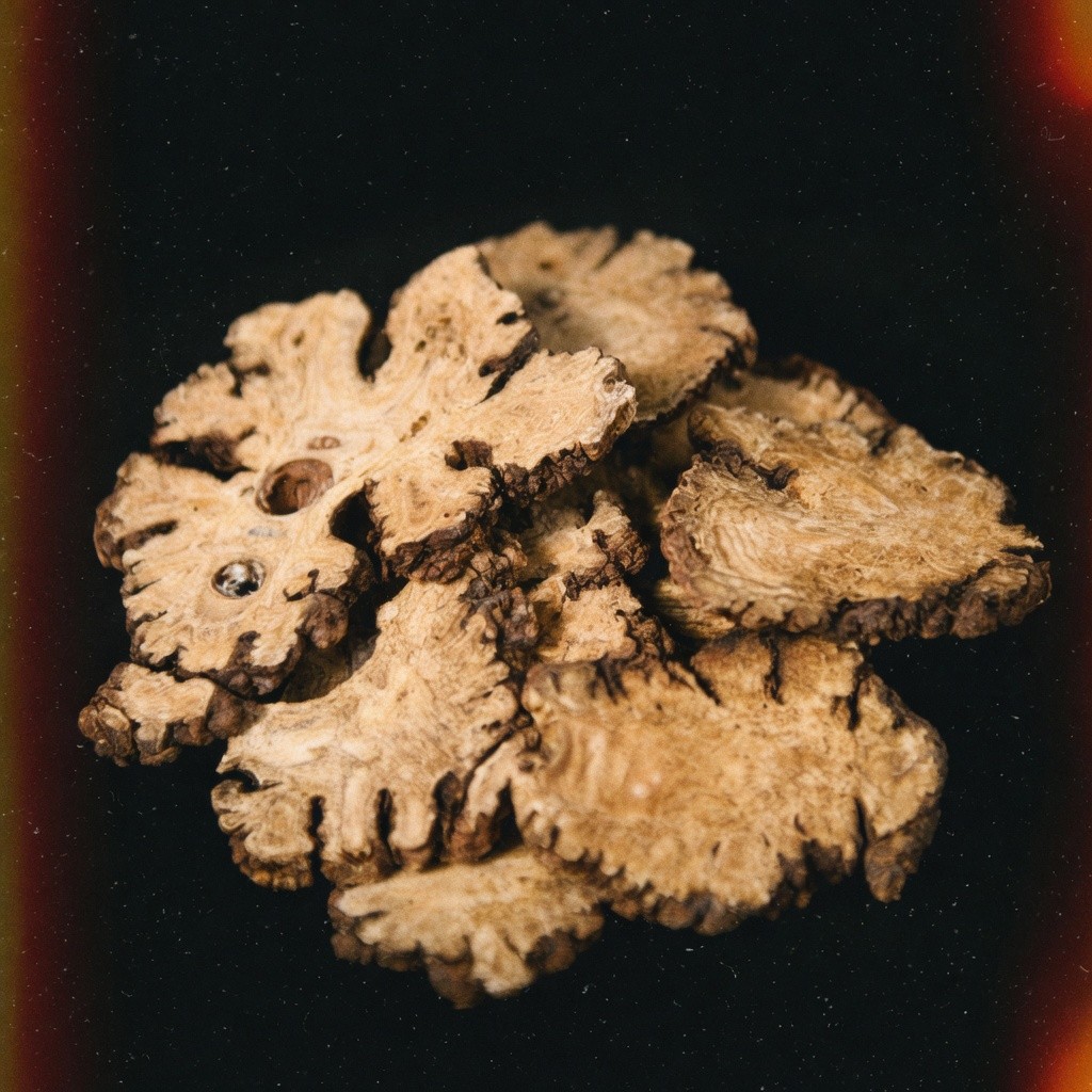 川芎片 Ligusticum Slice 批發 | 更有福