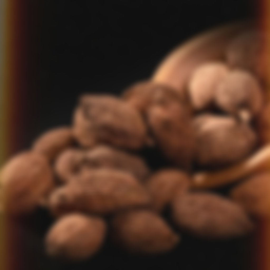 芡實 Fox Nut (Euryale) 批發 | 更有福