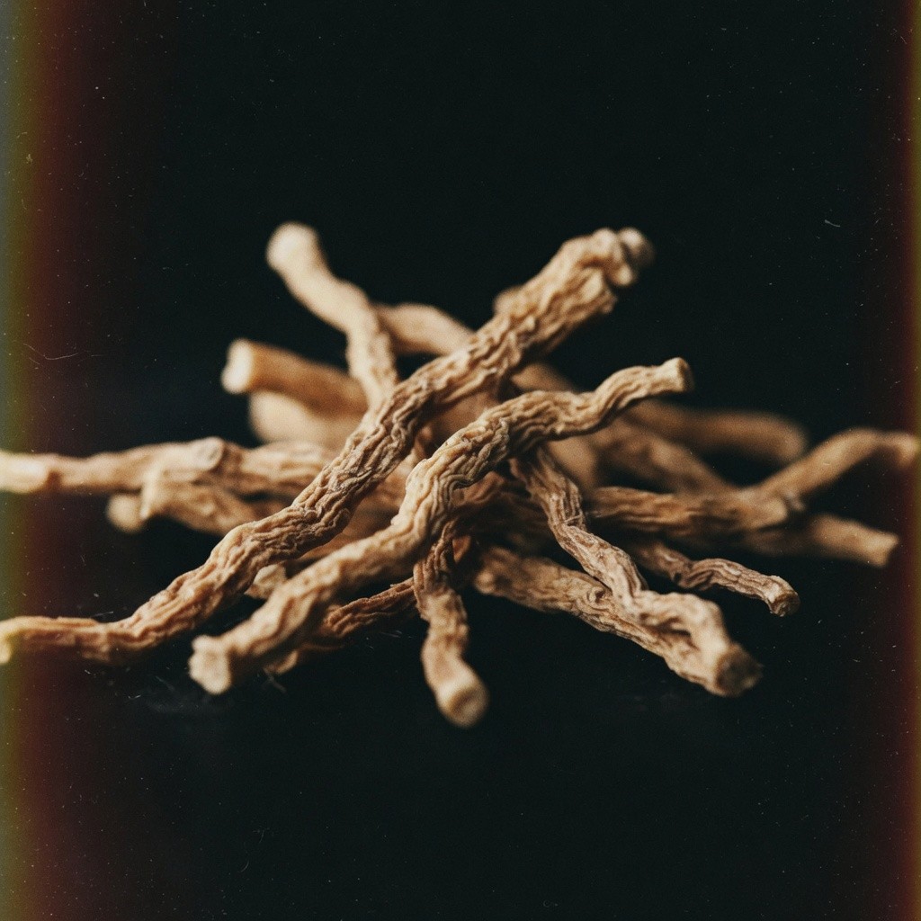 津玉竹 Polygonatum (Solomon Seal) 批發 | 更有福