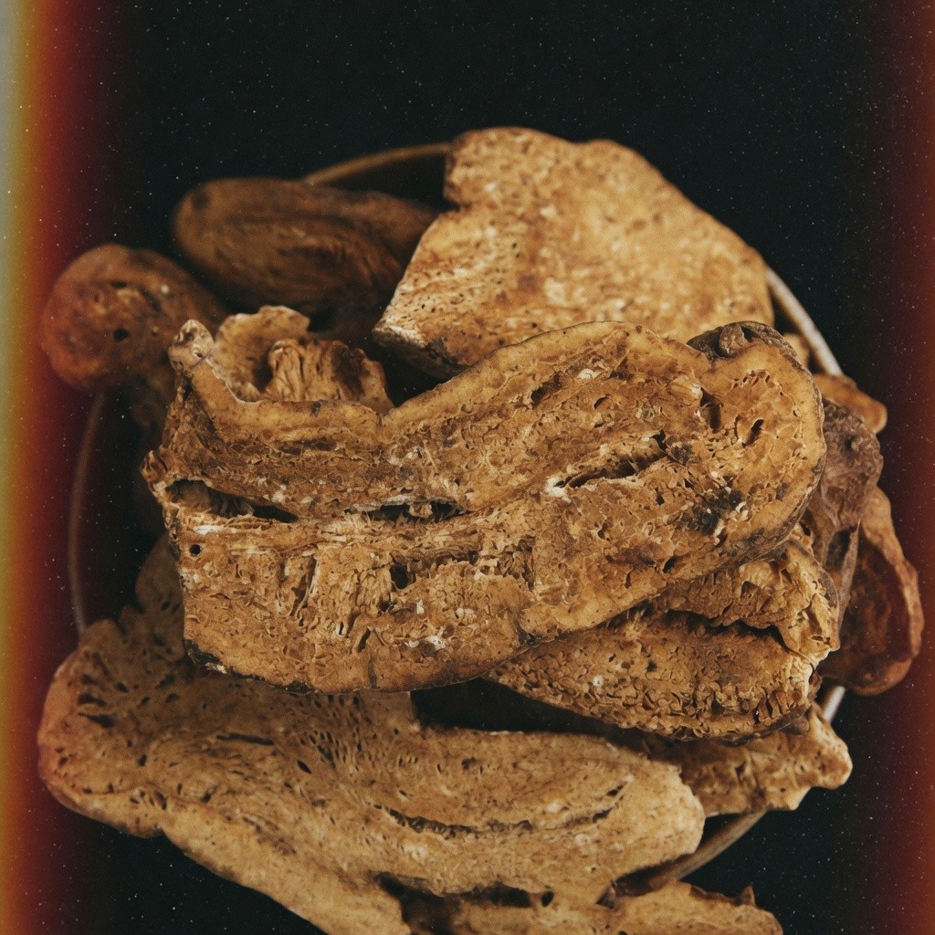 炒白朮 Fried Atractylodes 批發 | 更有福